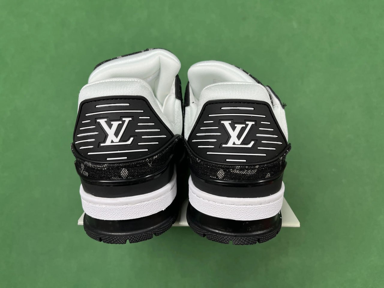  Louis vuitton sneakers LV Trainer Shoes -4