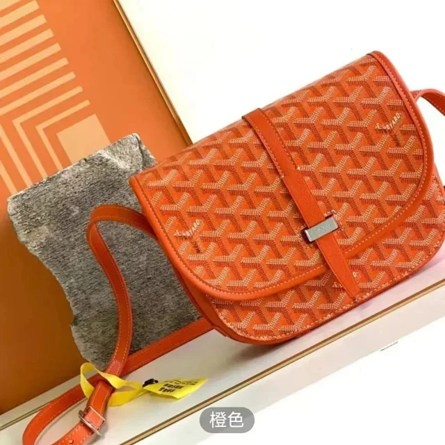  GOYARD bag