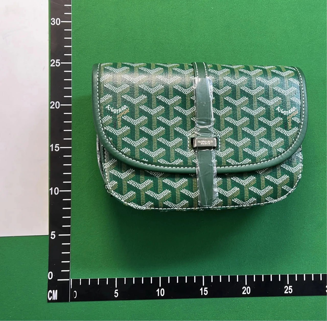  GOYARD bag -5