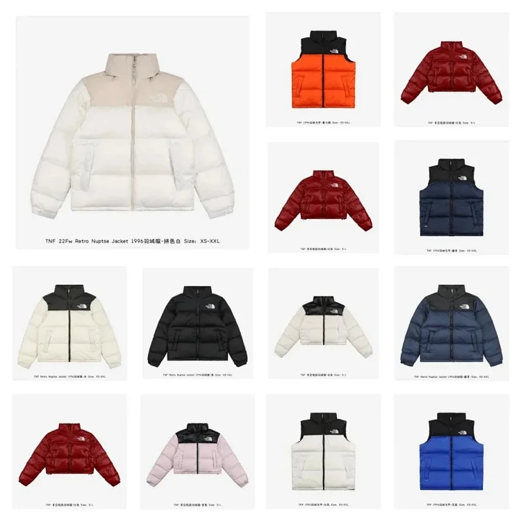  The North Face  Down jacket V