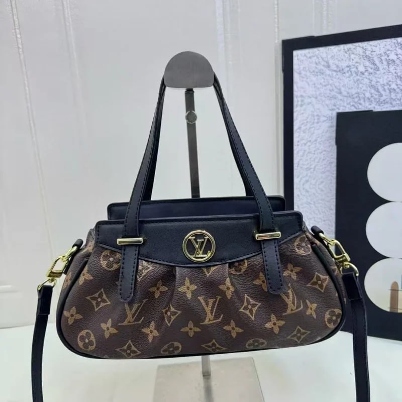 Louis Vuitton Bag Collection （30+） -4