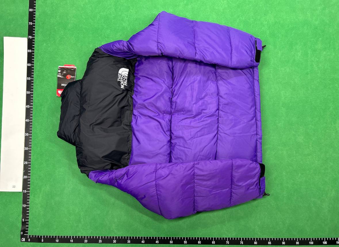 The North face Down Jackets （20+style） -2