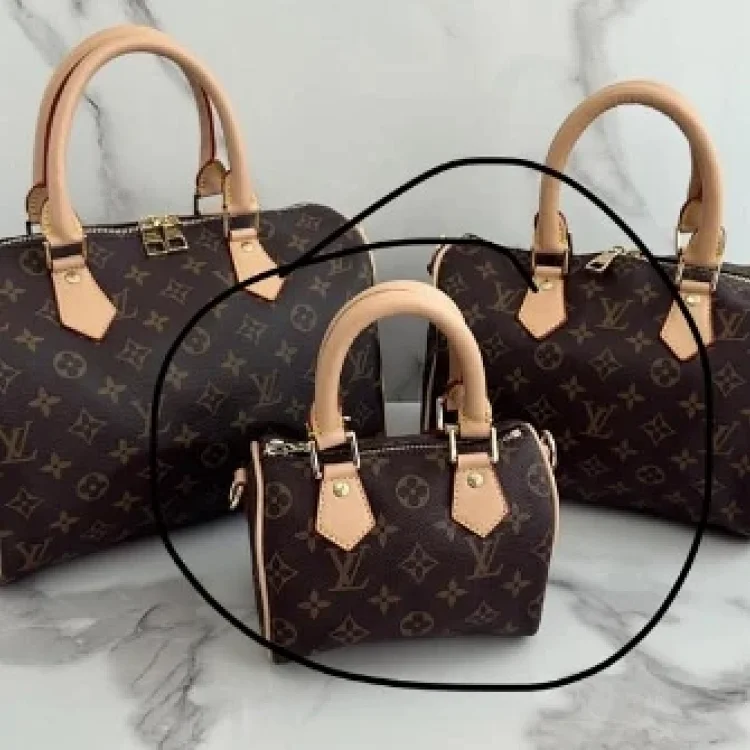 Sac Louis Vuitton Lv