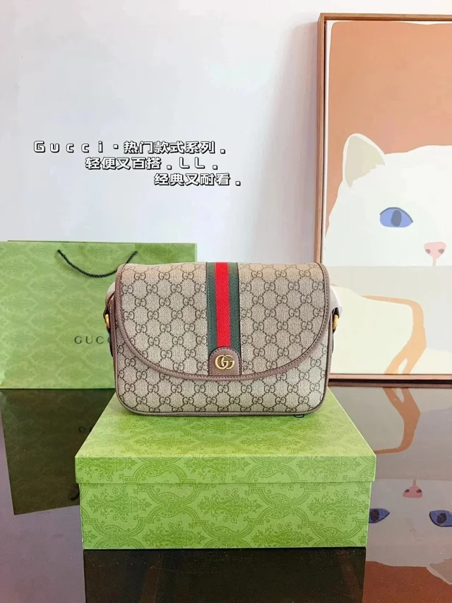 Dior Gucci  Bags (40 styles） -2