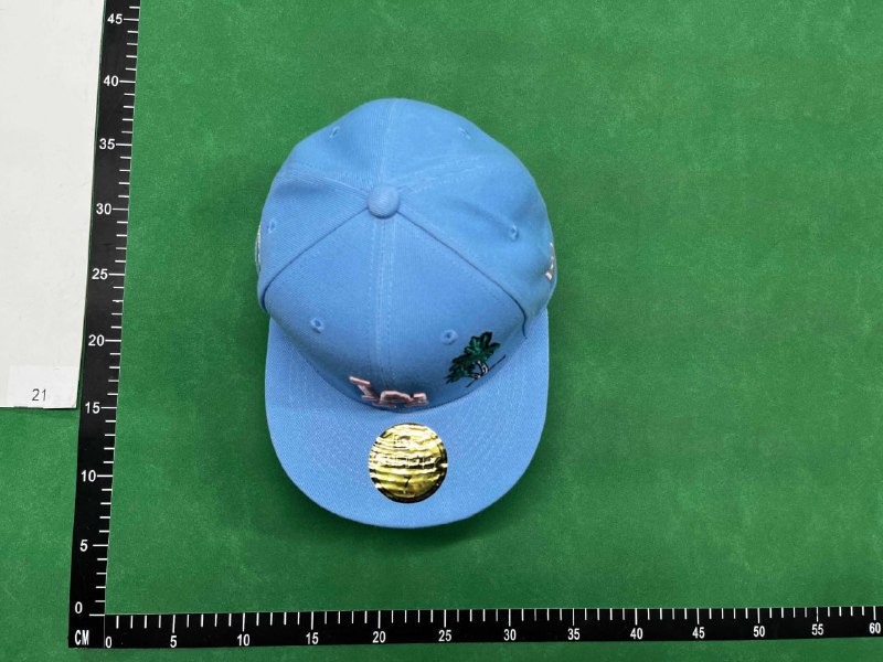 New Era Cap  -2