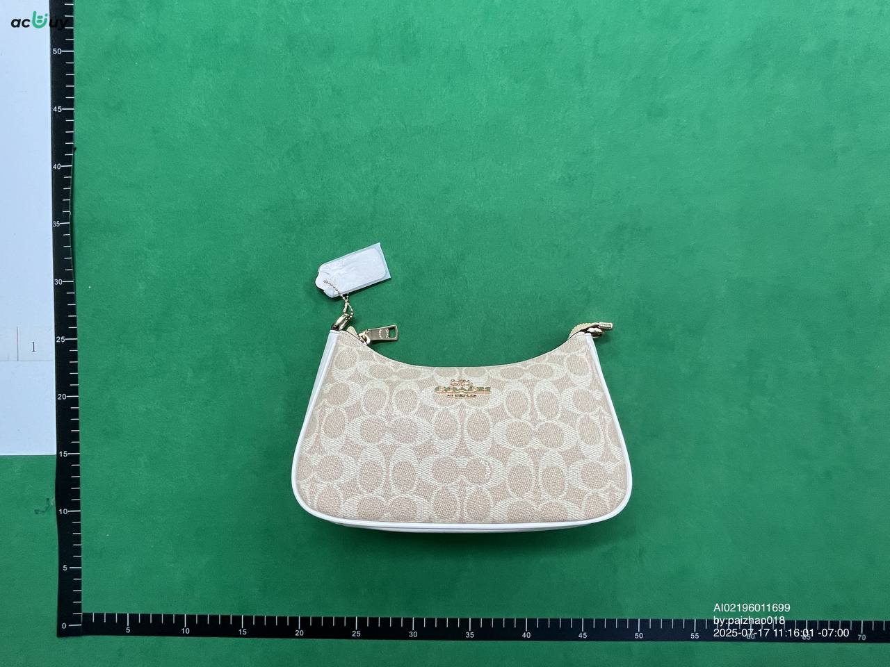 Coach Bag with box -2