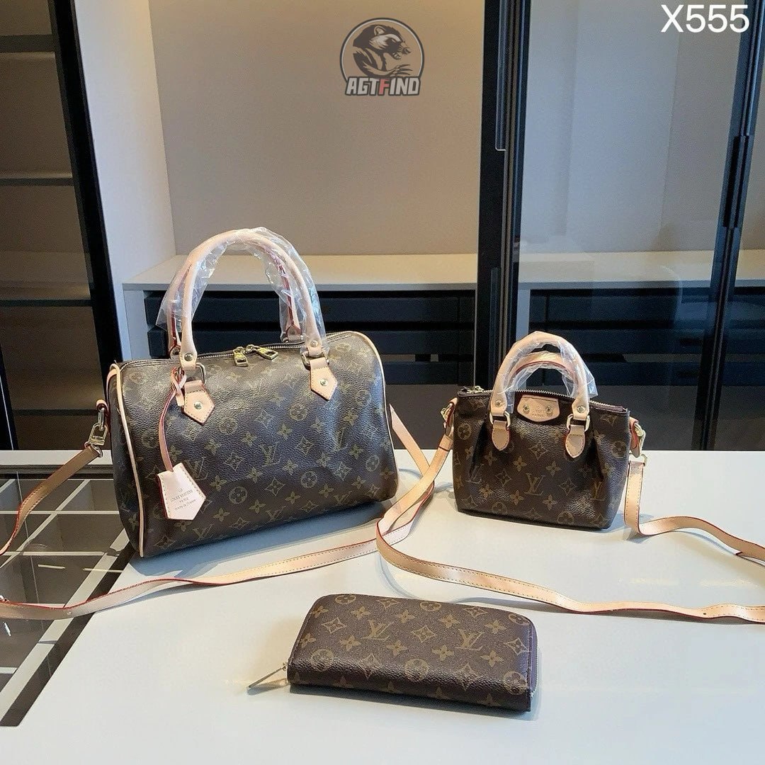 Lv/Chanel/YSL/Gucci/Dior/Miumiu -3