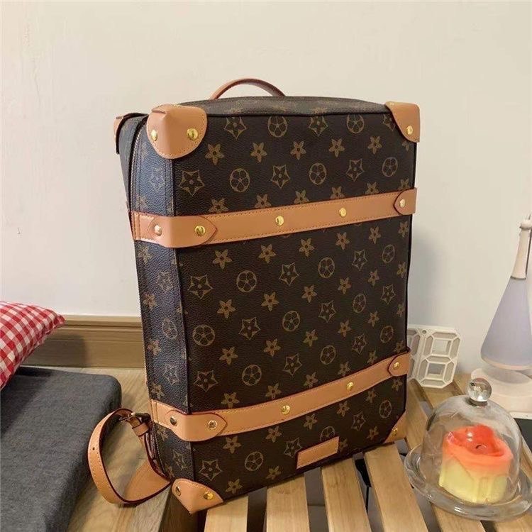 LV backpack                                 -4