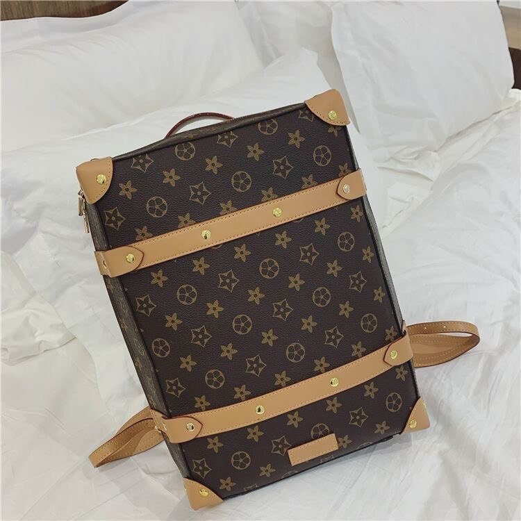 LV backpack                   