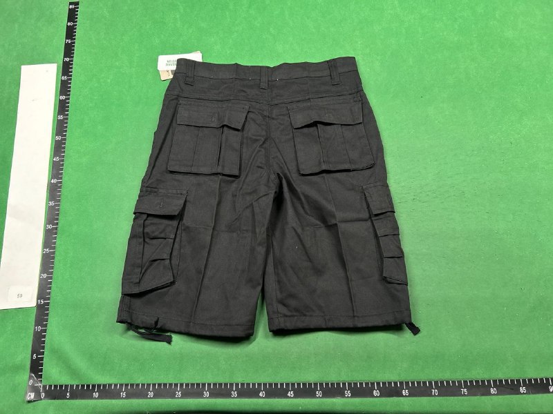 CARHARTT CARGO shorts -3