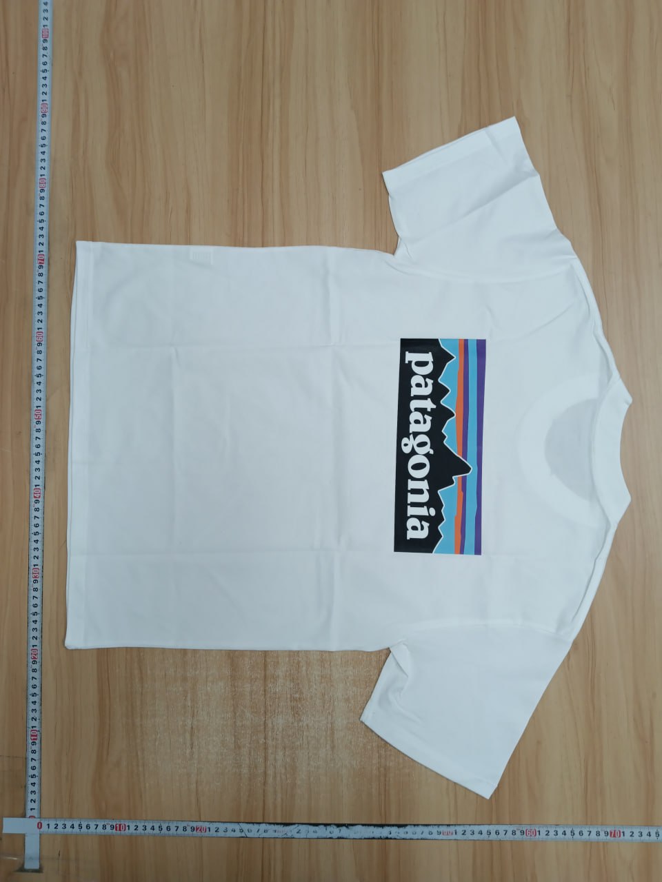 patagonia T-shirt  -2