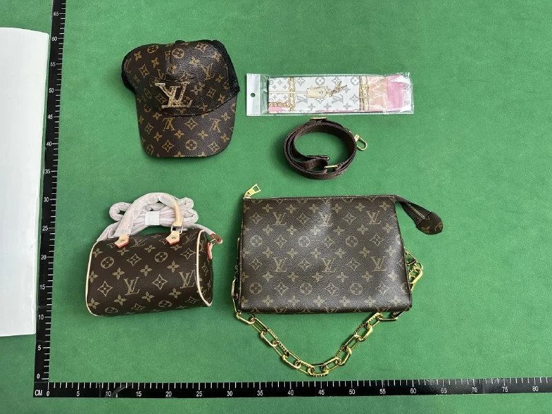 Dior/LV Bag -3