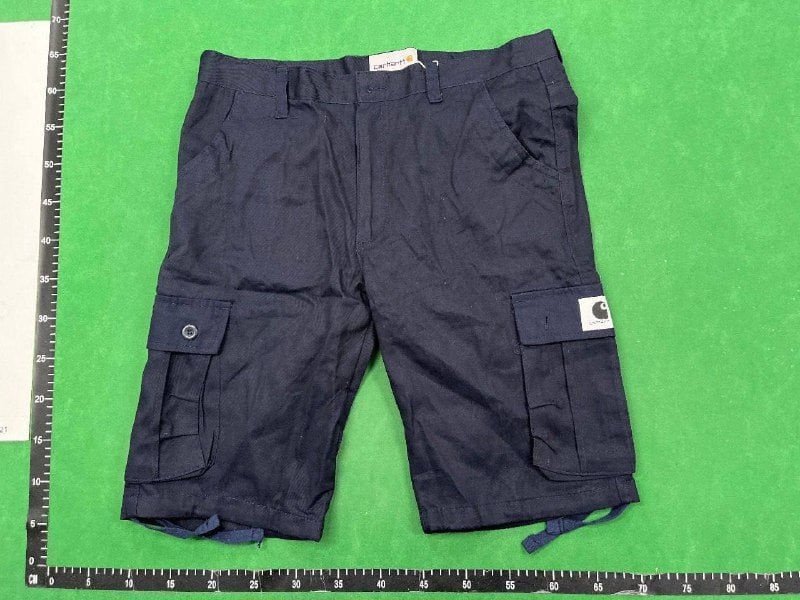 Carhartt Shorts -2