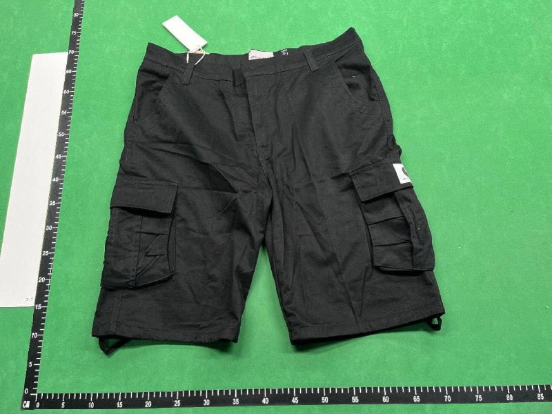 Carhartt Shorts -5
